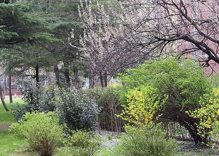 Apartment Magnolia *